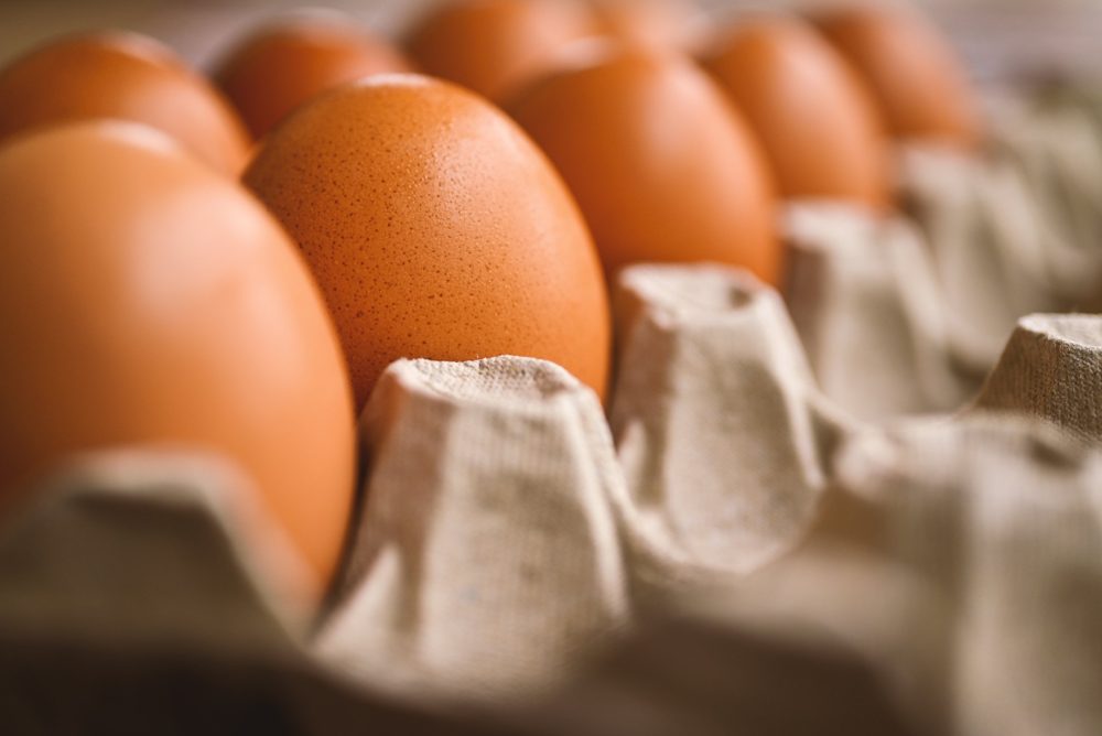 Huevos de pastoreo PEMENI S.A en maple